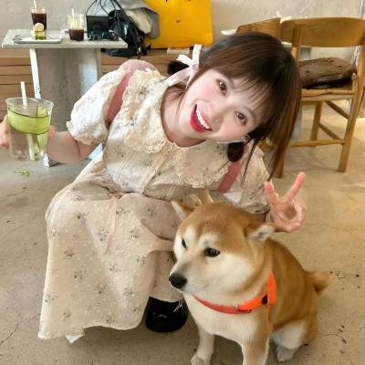 悍妻理论